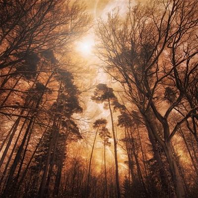 AG大厅网址手机app下载