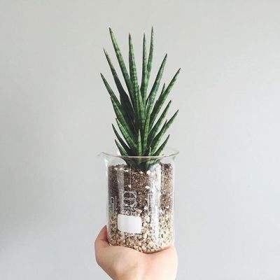 leyu·乐鱼(中国)体育