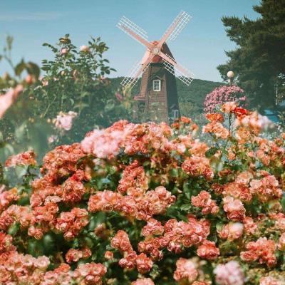 乐鱼官网-登录入口