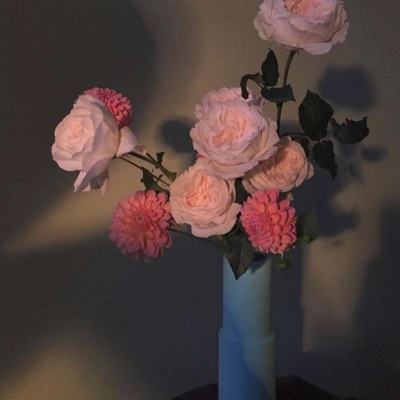 乐鱼app下载手机app下载