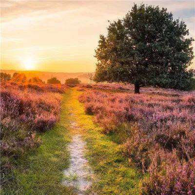 beat365平台app下载